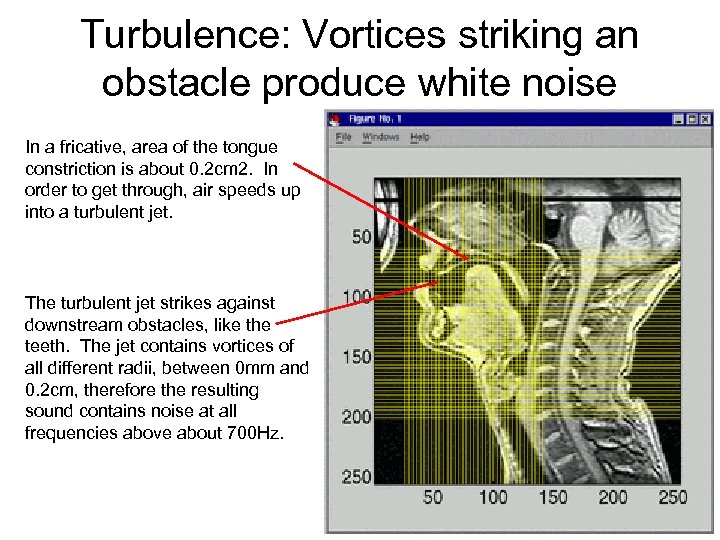 Turbulence: Vortices striking an obstacle produce white noise In a fricative, area of the