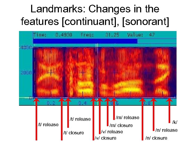 Landmarks: Changes in the features [continuant], [sonorant] /t/ release /l/ release /t/ closure /m/