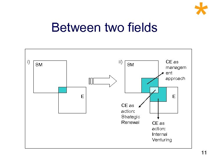 Between two fields i) ii) SM SM CE as managem ent approach E E