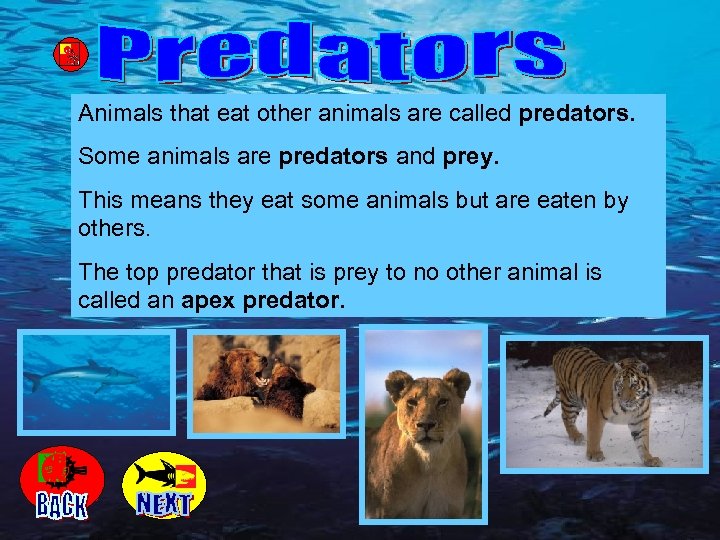 Animals that eat other animals are called predators. Some animals are predators and prey.