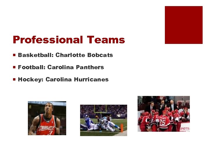 Professional Teams ¡ Basketball: Charlotte Bobcats ¡ Football: Carolina Panthers ¡ Hockey: Carolina Hurricanes