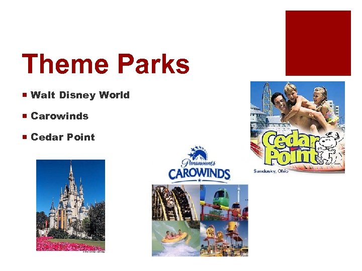 Theme Parks ¡ Walt Disney World ¡ Carowinds ¡ Cedar Point 