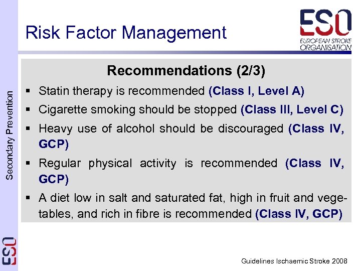 Risk Factor Management Secondary Prevention Recommendations (2/3) § Statin therapy is recommended (Class I,
