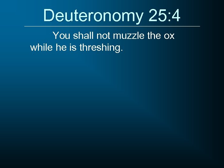 Deuteronomy 25: 4 You shall not muzzle the ox while he is threshing. 