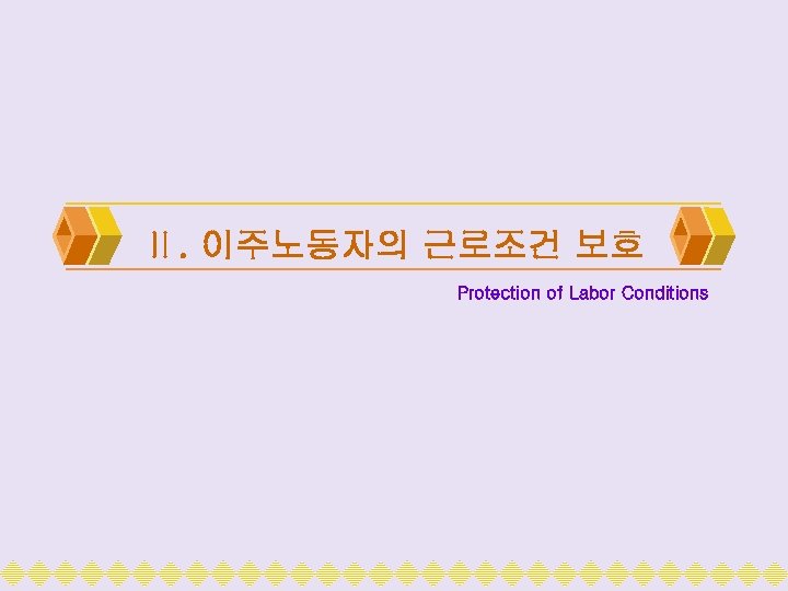 Ⅱ. 이주노동자의 근로조건 보호 Protection of Labor Conditions 