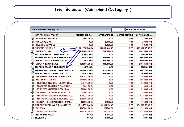 Trial Balance (Component/Category ) 