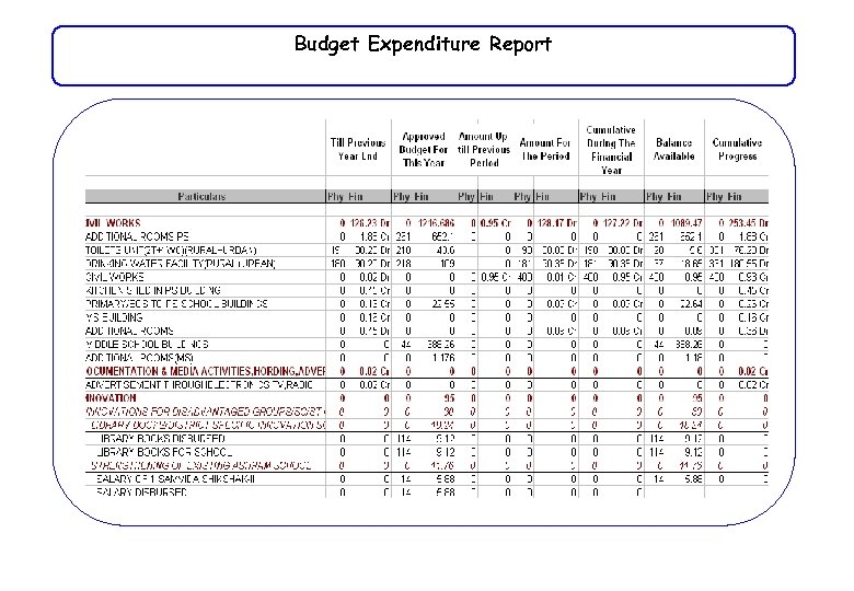 Budget Expenditure Report 