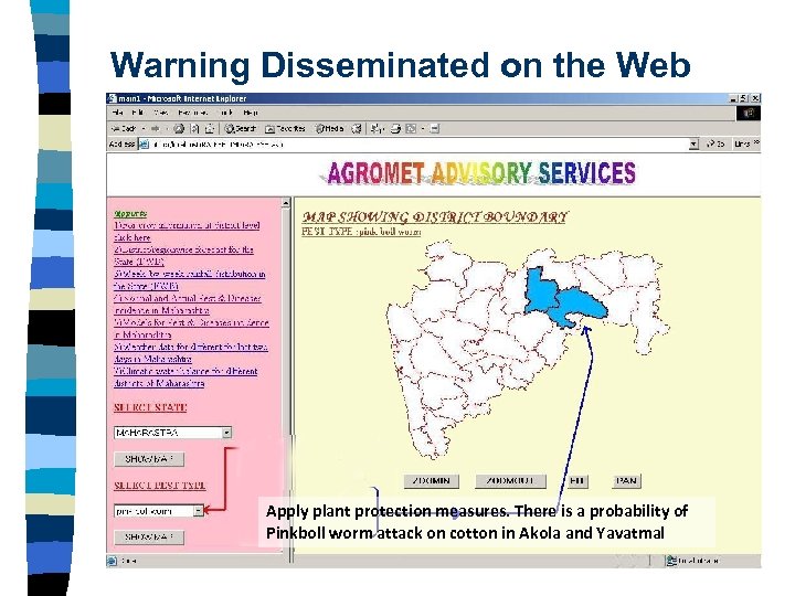 Warning Disseminated on the Web Apply plant protection measures. There is a probability of