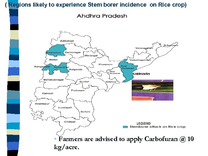 ( Regions likely to experience Stem borer incidence on Rice crop) • Farmers are