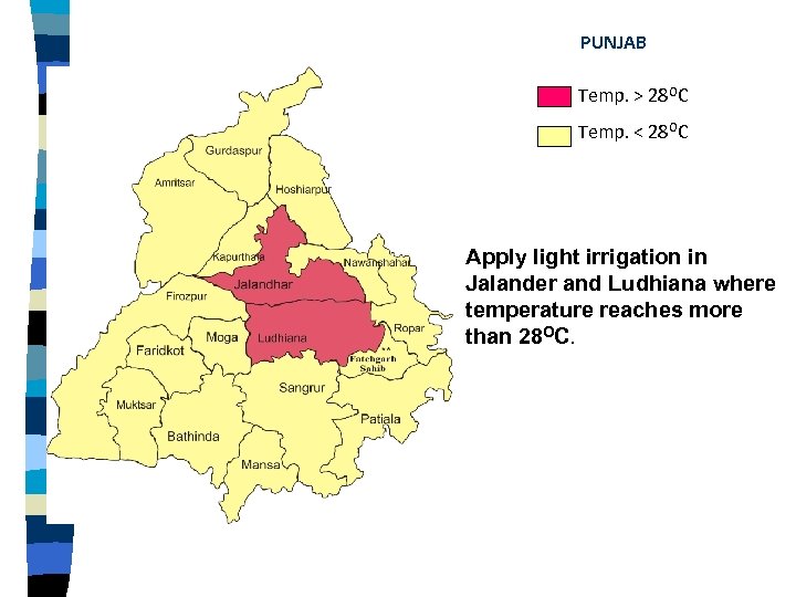 PUNJAB Temp. > 28 OC Temp. < 28 OC Apply light irrigation in Jalander