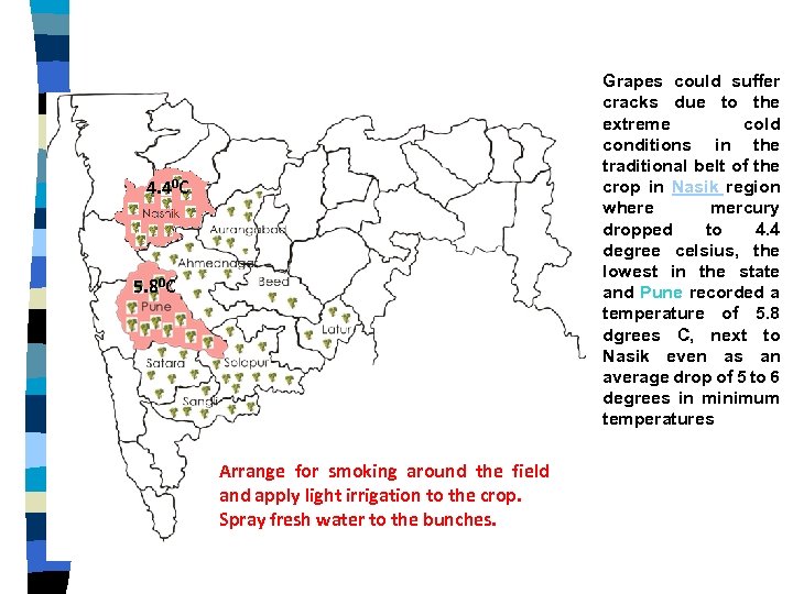 Grapes could suffer cracks due to the extreme cold conditions in the traditional belt