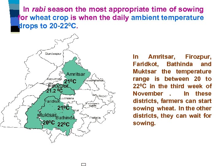 In rabi season the most appropriate time of sowing for wheat crop is when