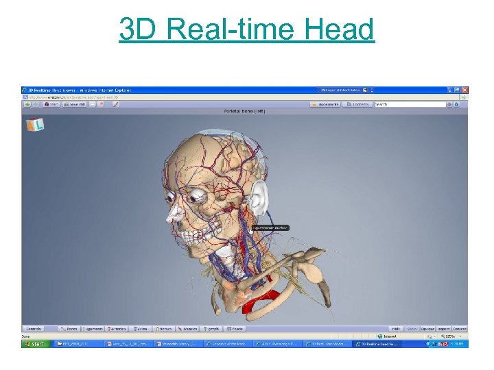 3 D Real-time Head 