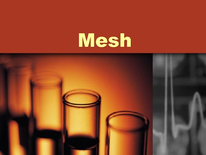 Mesh 