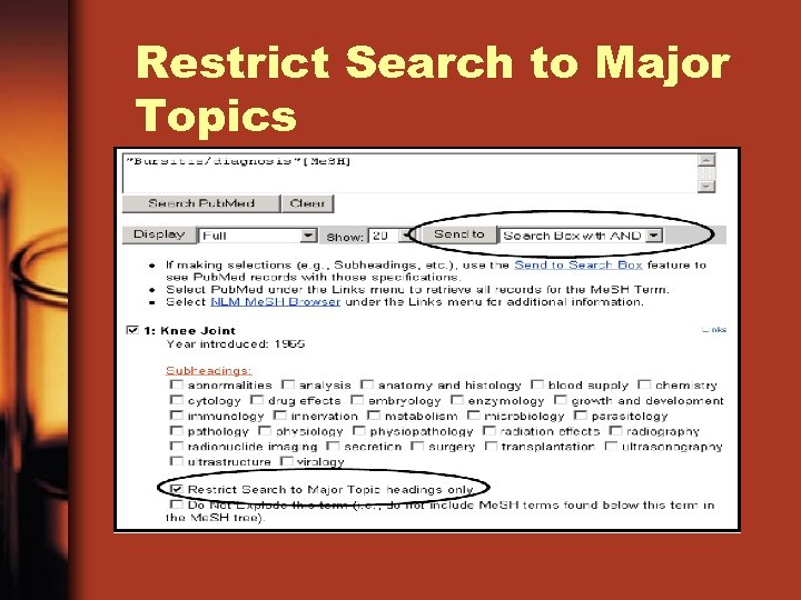 Restrict Search to Major Topics 
