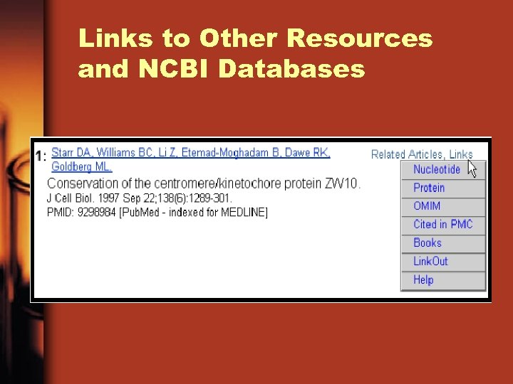 Links to Other Resources and NCBI Databases 