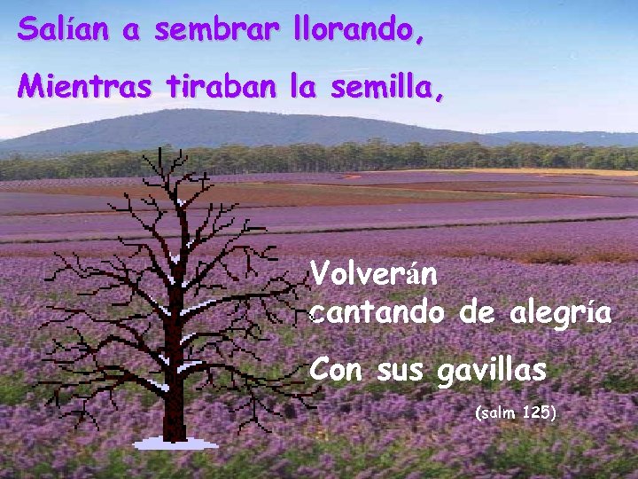 Salían a sembrar llorando, Mientras tiraban la semilla, Volverán cantando de alegría Con sus