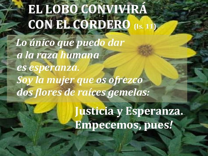 EL LOBO CONVIVIRÁ CON EL CORDERO (Is. 11) Lo único que puedo dar a