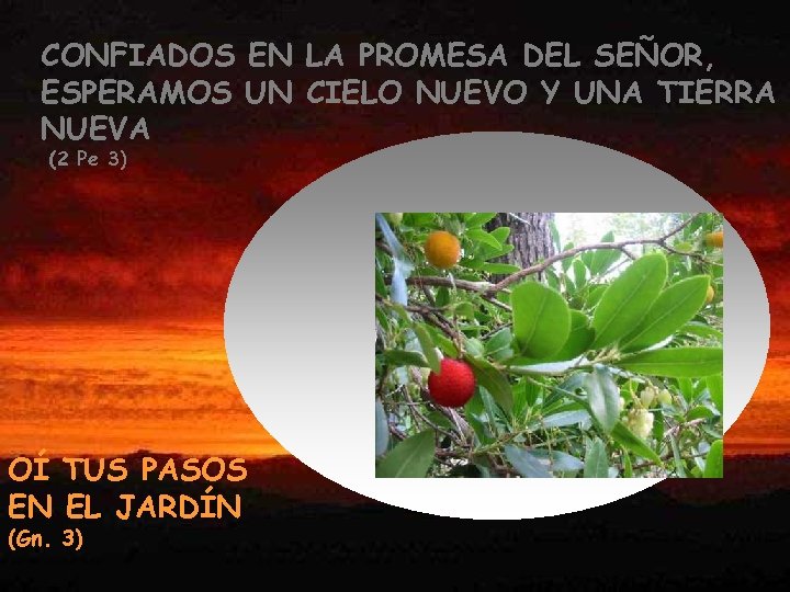 CONFIADOS EN LA PROMESA DEL SEÑOR, ESPERAMOS UN CIELO NUEVO Y UNA TIERRA NUEVA