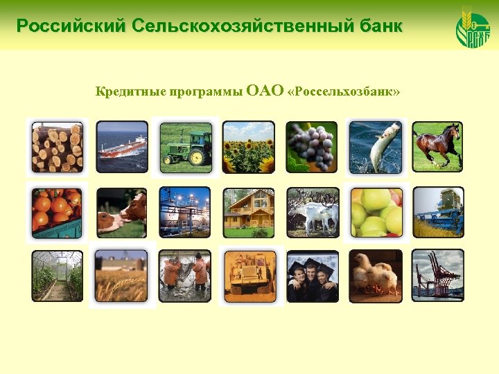 Российский Сельскохозяйственный банк Кредитные программы ОАО «Россельхозбанк» 