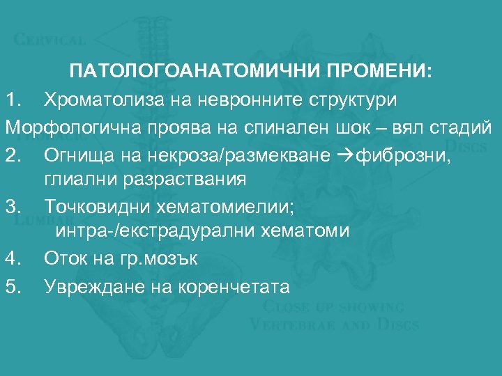 ПАТОЛОГОАНАТОМИЧНИ ПРОМЕНИ: 1. Хроматолиза на невронните структури Морфологична проява на спинален шок – вял