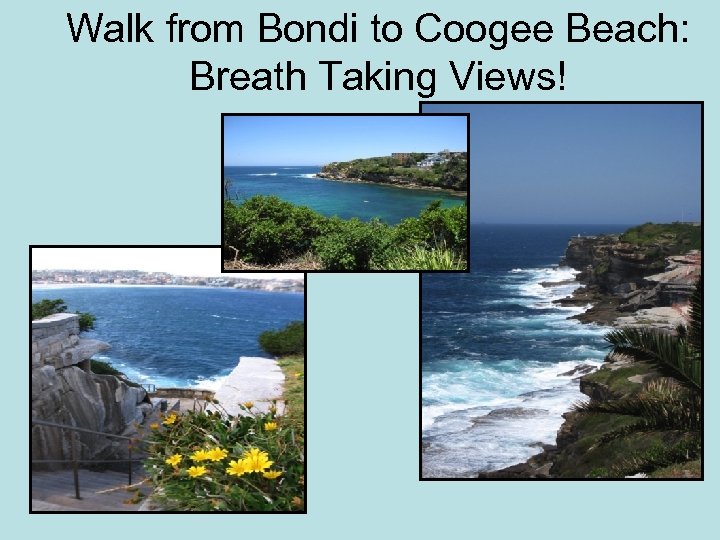 Walk from Bondi to Coogee Beach: Breath Taking Views! 