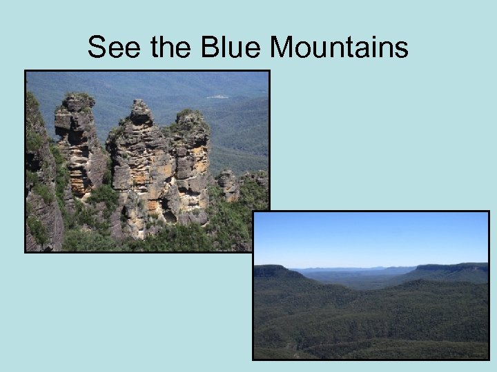 See the Blue Mountains 