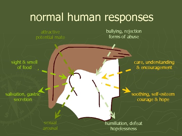 normal human responses attractive potential mate bullying, rejection forms of abuse sight & smell