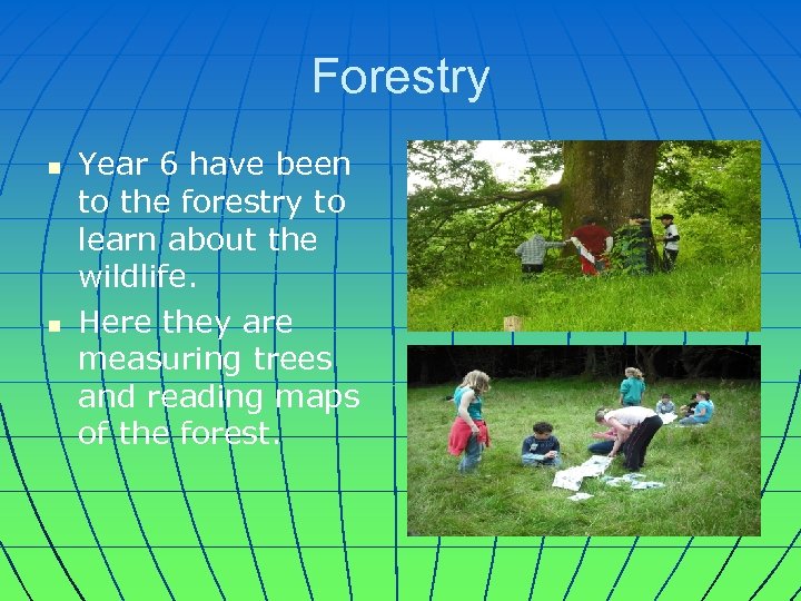 Forestry n n Year 6 have been to the forestry to learn about the