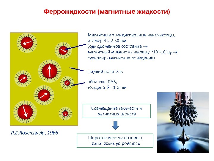 Феррожидкости (магнитные жидкости) Магнитные полидисперсные наночастицы, размер d = 2 -30 нм (однодоменное состояние