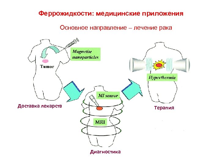 Феррожидкости: медицинские приложения Основное направление – лечение рака Доставка лекарств Терапия Диагностика 