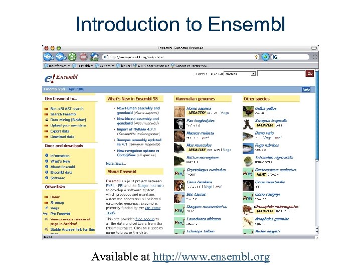 Introduction to Ensembl Available at http: //www. ensembl. org 