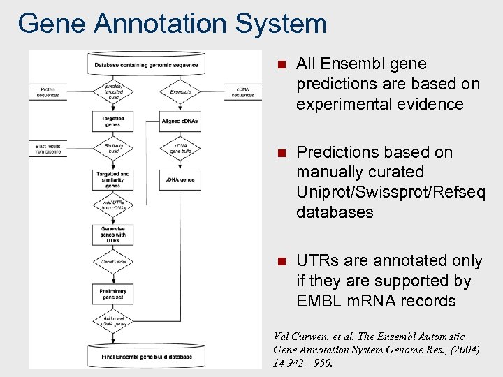 Gene Annotation System n All Ensembl gene predictions are based on experimental evidence n