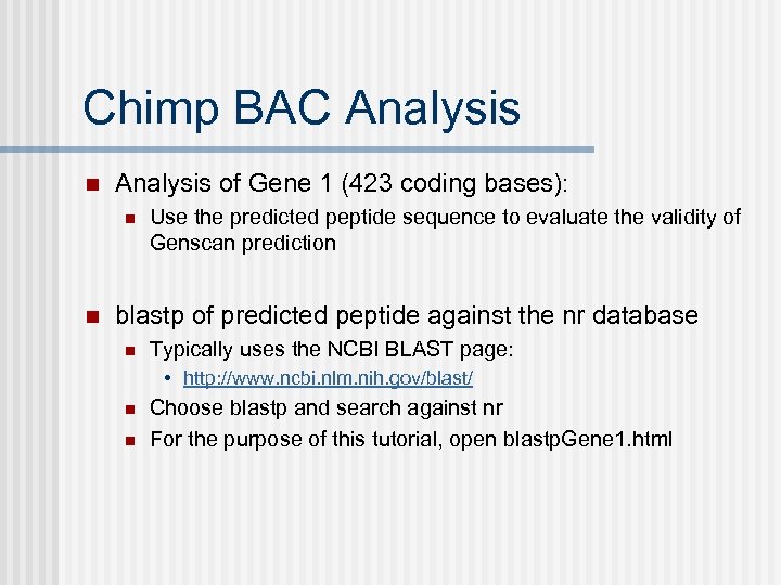 Chimp BAC Analysis n Analysis of Gene 1 (423 coding bases): n n Use