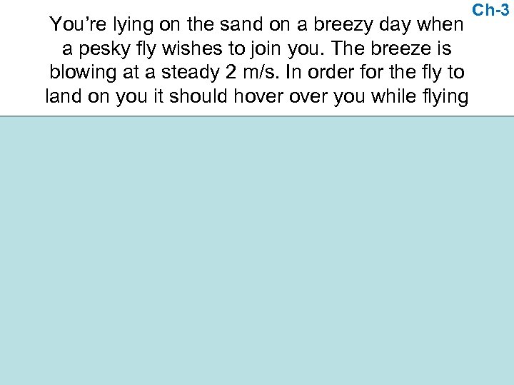 You’re lying on the sand on a breezy day when a pesky fly wishes
