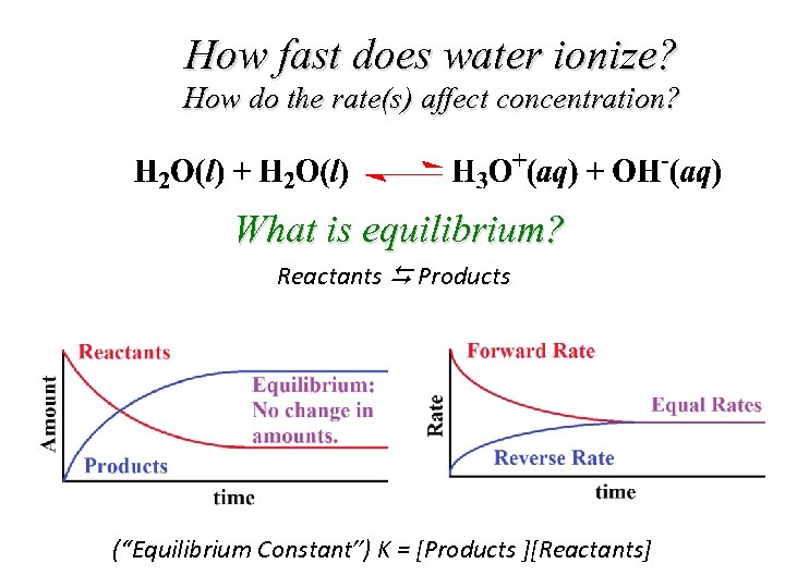 How fast does water ionize? How do the rate(s) affect concentration? What is equilibrium?