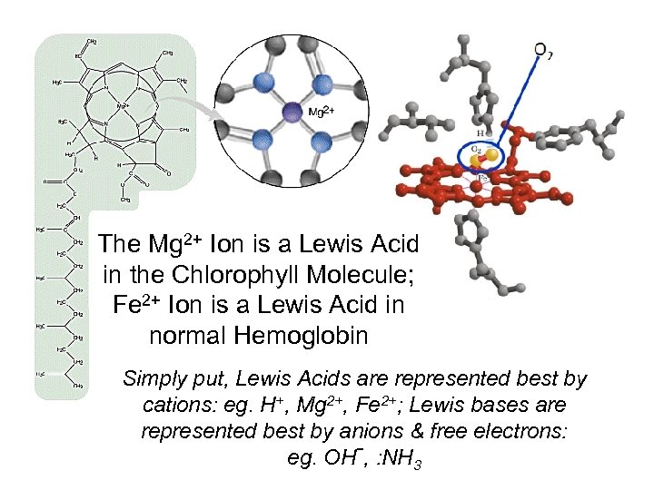 The Mg 2+ Ion is a Lewis Acid in the Chlorophyll Molecule; Fe 2+