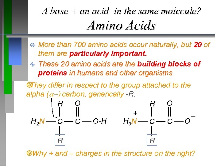 A base + an acid in the same molecule? Amino Acids ¥ ¥ More