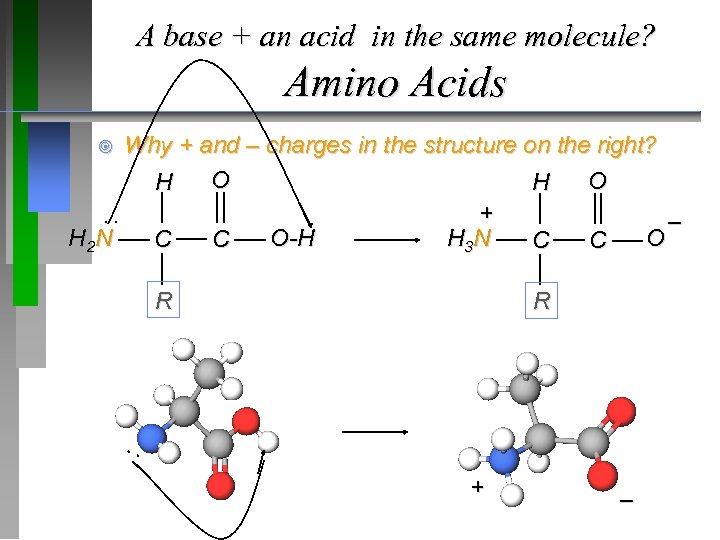A base + an acid in the same molecule? Amino Acids Why + and