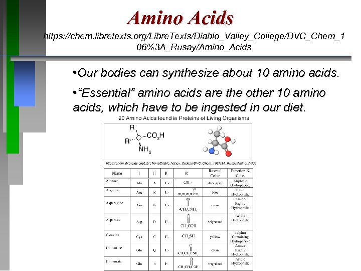 Amino Acids https: //chem. libretexts. org/Libre. Texts/Diablo_Valley_College/DVC_Chem_1 06%3 A_Rusay/Amino_Acids • Our bodies can synthesize