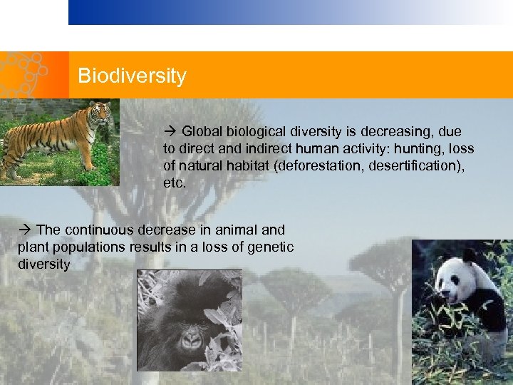 Biodiversity Global biological diversity is decreasing, due to direct and indirect human activity: hunting,