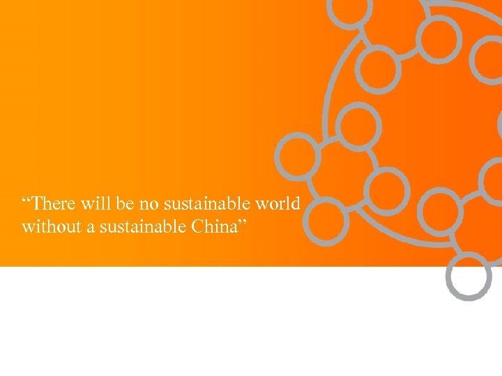 “There will be no sustainable world without a sustainable China” 