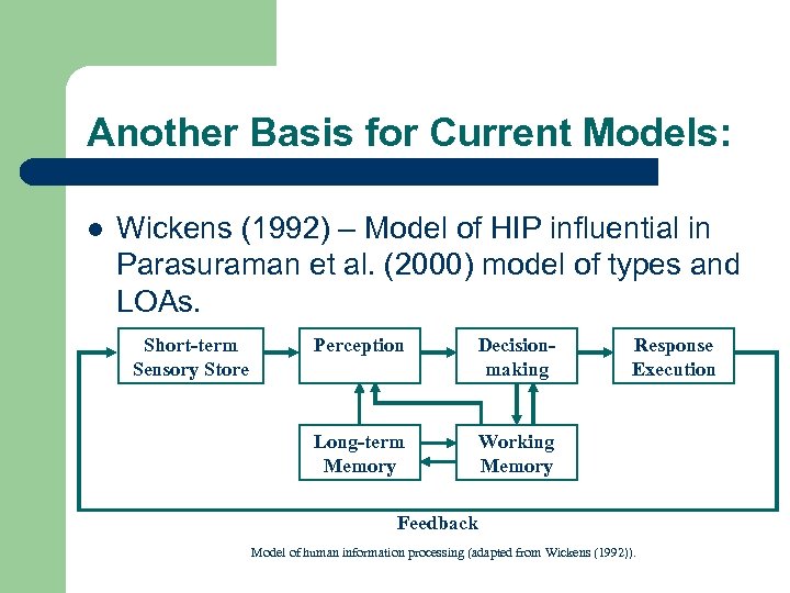 Another Basis for Current Models: l Wickens (1992) – Model of HIP influential in