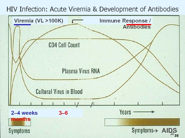 HIV Infection: Acute Viremia & Development of Antibodies Viremia (VL >100 K) 2– 4