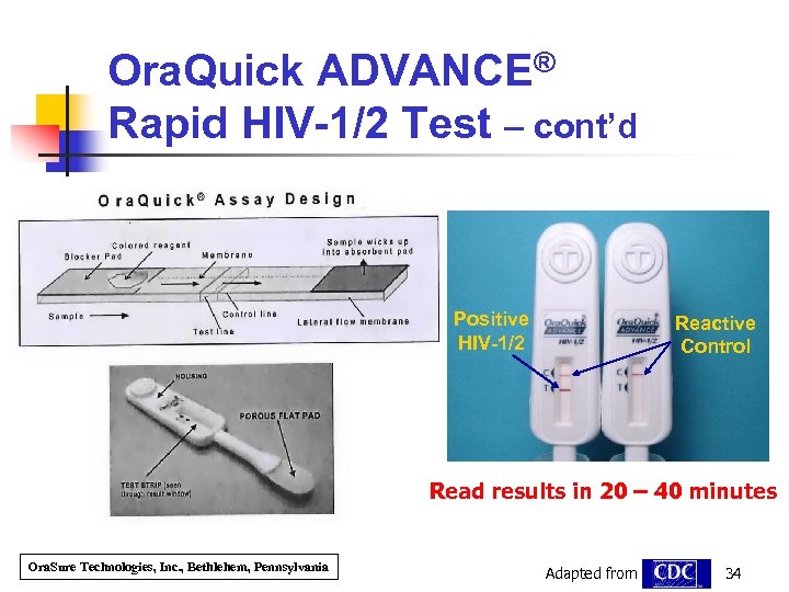 Ora. Quick ADVANCE® Rapid HIV-1/2 Test – cont’d Positive HIV-1/2 Reactive Control Read results