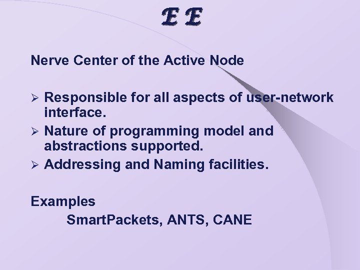 EE Nerve Center of the Active Node Responsible for all aspects of user-network interface.