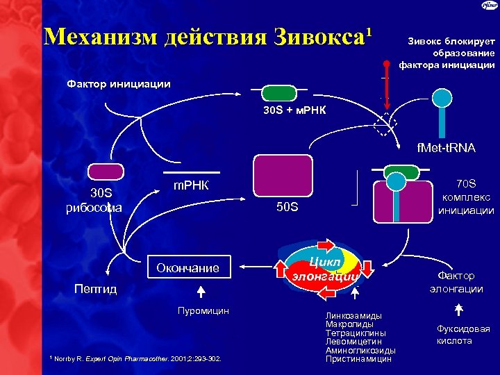 Механизм действия Зивокса¹ Зивокс блокирует образование фактора инициации Фактор инициации 30 S + м.