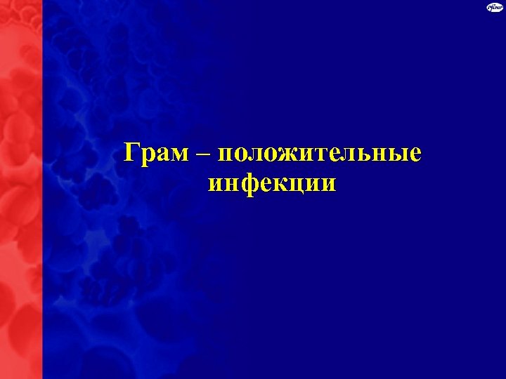 Грам – положительные инфекции 
