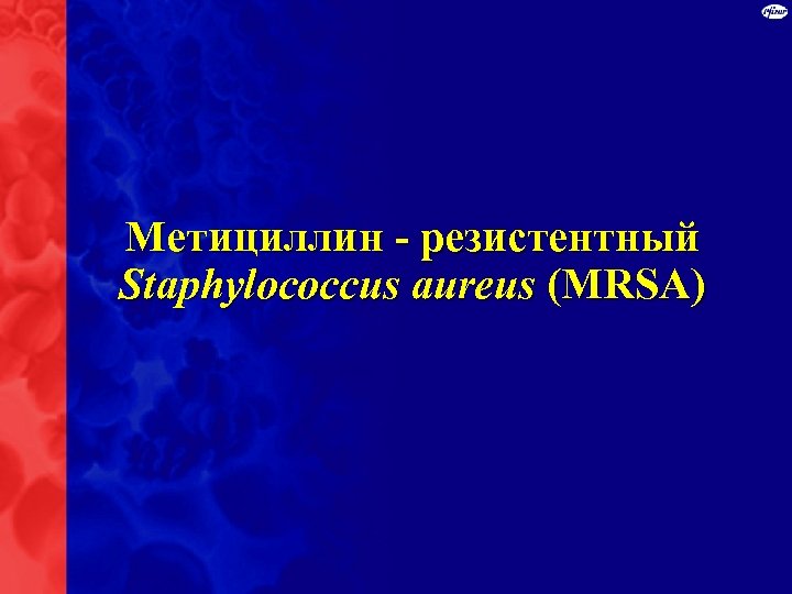 Метициллин - резистентный Staphylococcus aureus (MRSA) 