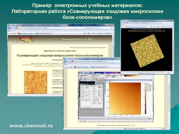 Пример электронных учебных материалов: Лабораторная работа «Сканирующая зондовая микроскопия блок-сополимеров» www. chemnet. ru 